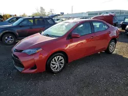 Salvage cars for sale at Chicago Heights, IL auction: 2019 Toyota Corolla L