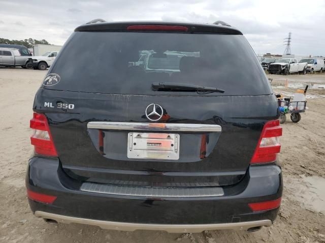 2010 Mercedes-Benz ML 350