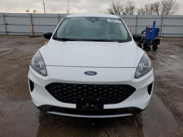 2020 Ford Escape SE Sport