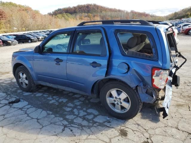 2009 Ford Escape XLT