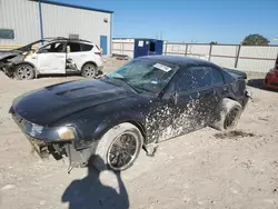 2004 Ford Mustang Cobra SVT en venta en Haslet, TX