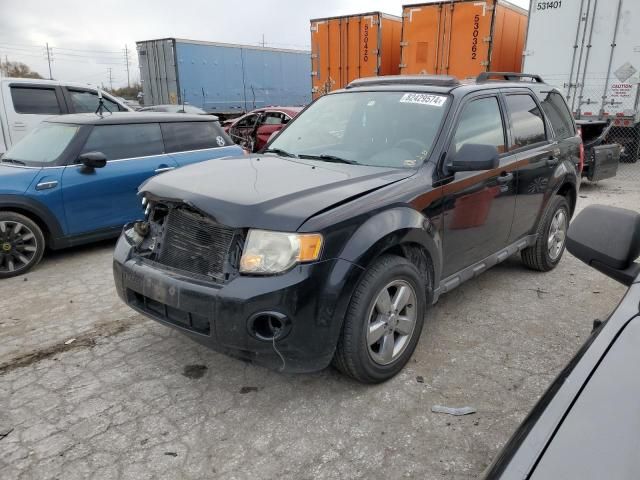 2009 Ford Escape XLT