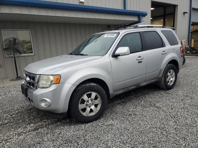 2010 Ford Escape Limited