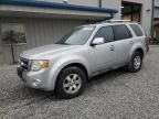 2010 Ford Escape Limited