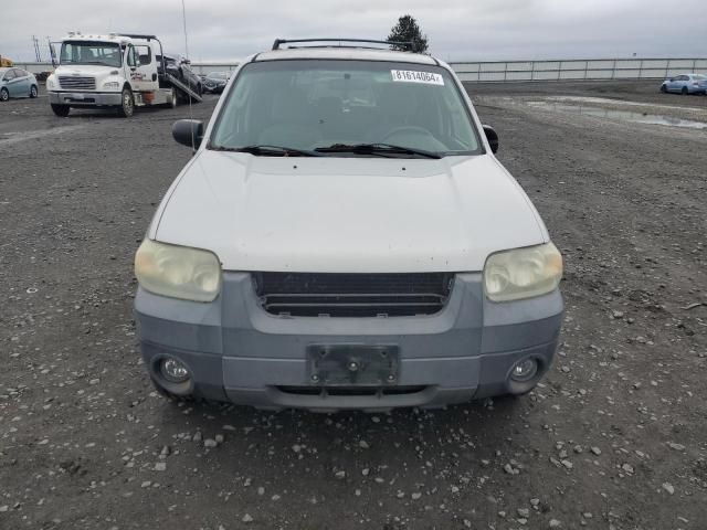 2005 Ford Escape XLT