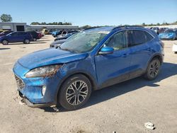 Ford Escape Vehiculos salvage en venta: 2020 Ford Escape SEL