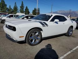 2013 Dodge Challenger R/T en venta en Rancho Cucamonga, CA