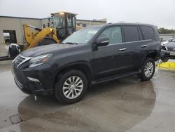 Salvage cars for sale from Copart Wilmer, TX: 2023 Lexus GX 460