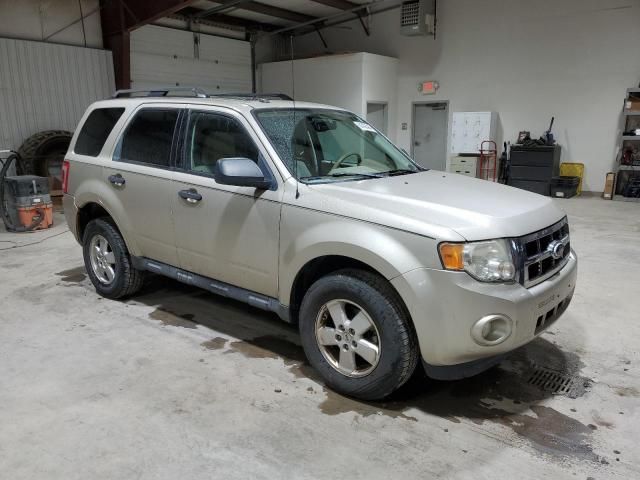 2011 Ford Escape XLT