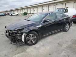 Salvage cars for sale at Louisville, KY auction: 2014 KIA Optima Hybrid