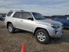 2024 Toyota 4runner SR5/SR5 Premium