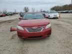 2007 Toyota Camry Hybrid