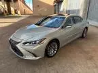 2019 Lexus ES 300H