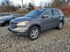 2010 Honda CR-V EXL