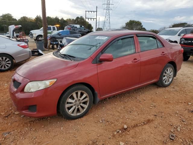 2009 Toyota Corolla Base