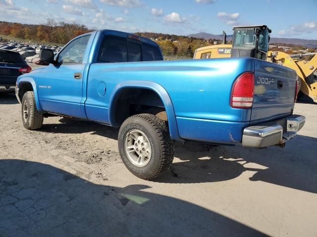 1999 Dodge Dakota