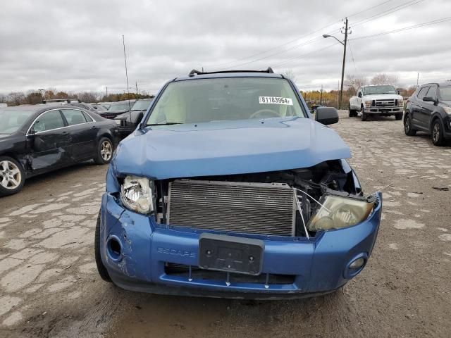 2009 Ford Escape XLT