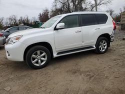 Salvage cars for sale at Baltimore, MD auction: 2013 Lexus GX 460