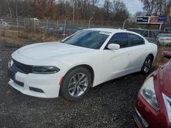 Salvage cars for sale at Baltimore, MD auction: 2016 Dodge Charger SXT