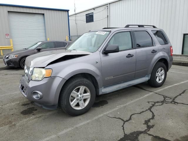 2008 Ford Escape HEV