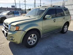 Salvage cars for sale at Sun Valley, CA auction: 2009 Ford Escape Hybrid