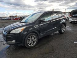 Ford Escape Vehiculos salvage en venta: 2013 Ford Escape SEL