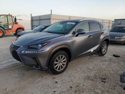 Salvage cars for sale at Arcadia, FL auction: 2019 Lexus NX 300 Base