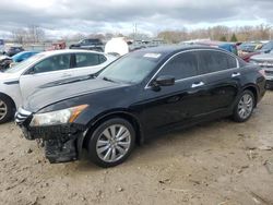 Vehiculos salvage en venta de Copart Louisville, KY: 2011 Honda Accord EXL