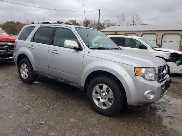 2012 Ford Escape Limited