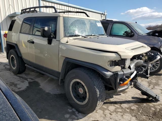 2010 Toyota FJ Cruiser