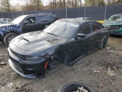 Salvage cars for sale at Waldorf, MD auction: 2021 Dodge Charger R/T