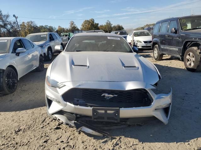 2019 Ford Mustang