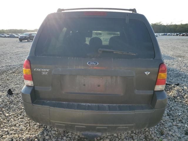 2006 Ford Escape XLT