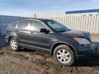 2009 Honda CR-V EX