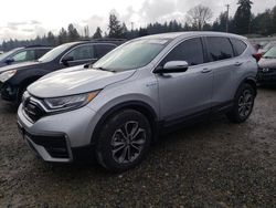 Honda salvage cars for sale: 2020 Honda CR-V EXL