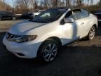 2014 Nissan Murano Crosscabriolet