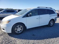 Salvage cars for sale at Riverview, FL auction: 2011 Honda Odyssey EXL