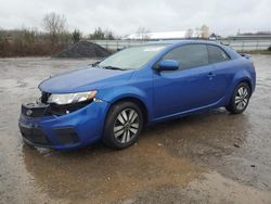 Salvage cars for sale at Columbia Station, OH auction: 2013 KIA Forte EX