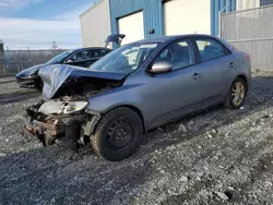 Salvage cars for sale at Elmsdale, NS auction: 2010 KIA Forte LX