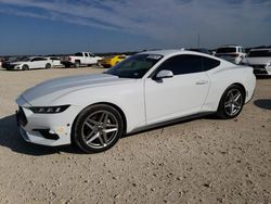 Salvage cars for sale at New Braunfels, TX auction: 2024 Ford Mustang