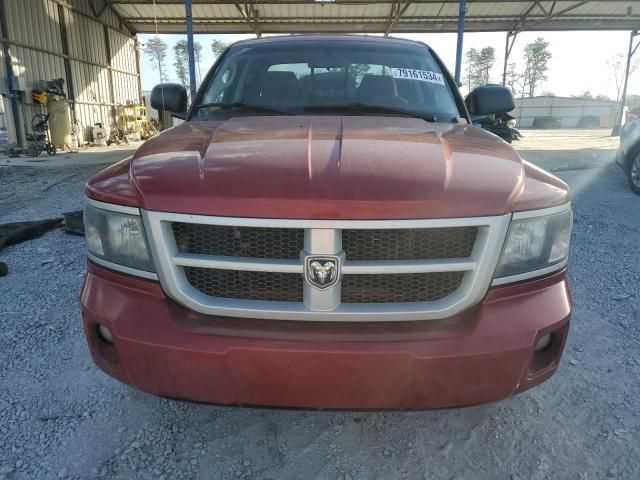 2010 Dodge Dakota SXT