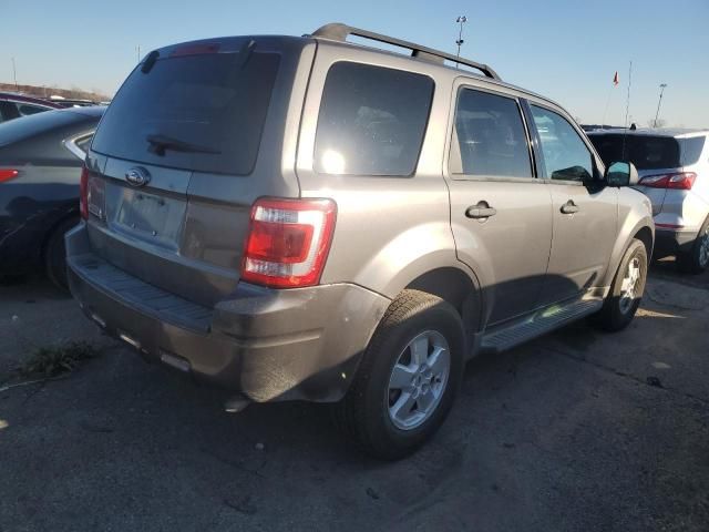 2009 Ford Escape XLT