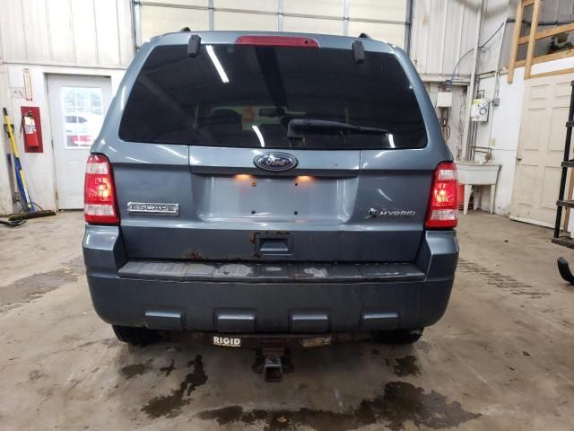 2010 Ford Escape Hybrid