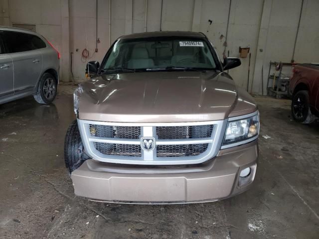 2010 Dodge Dakota SXT