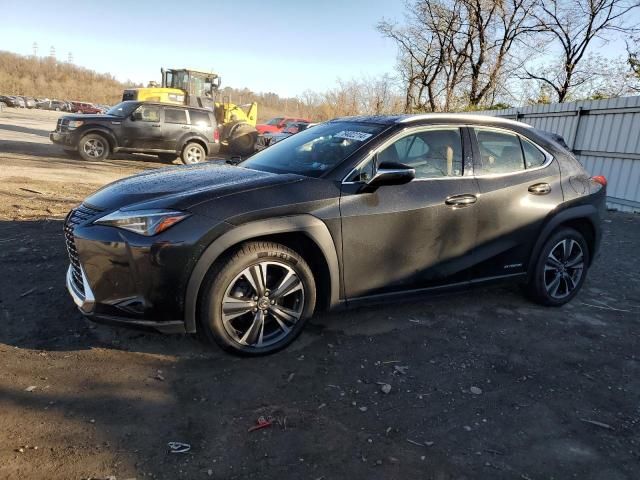 2019 Lexus UX 250H