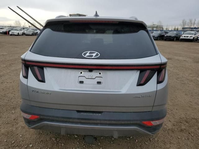 2023 Hyundai Tucson Luxury