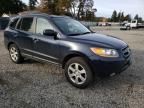 2008 Hyundai Santa FE SE