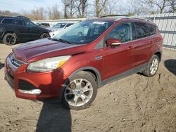 Ford Escape Vehiculos salvage en venta: 2015 Ford Escape Titanium