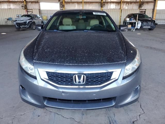 2010 Honda Accord EXL