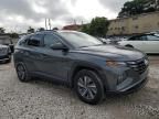 2023 Hyundai Tucson Blue